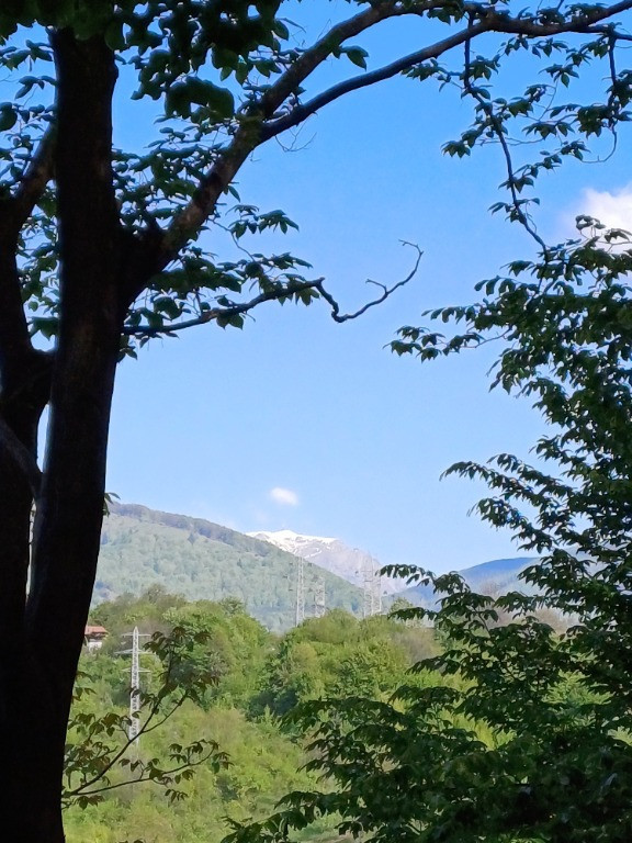 Casa pentru iubitorii de natura pe dealurile Comarnicului