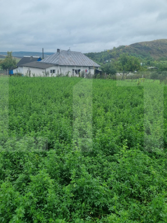 Casa bătrânească + Teren 1.666 mp intravilan, la 8 km de