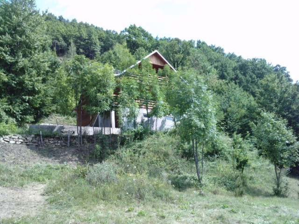 Cabană – Lepșa, jud. Vrancea - Cheile Tișiței