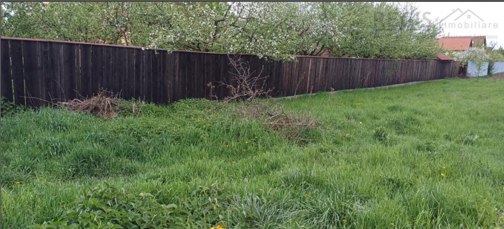 Teren 1000mp Prejmer