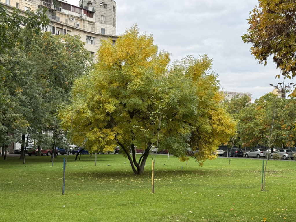 Apartament cu 3 Camere Bdul Libertatii-Parc Izvor
