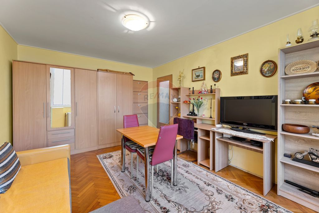 Apartament deosebit, o camera, langa Liceul Moise Nicoara