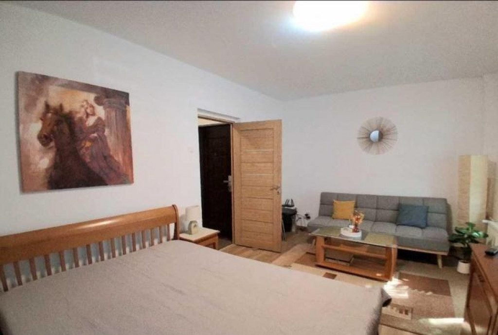 Mihai bravu vitan alunelului parter