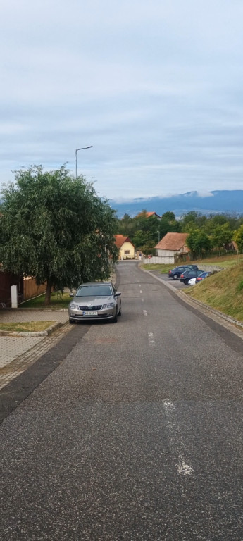 Teren intravilan, la asfalt, Seusa, comuna Ciugud, 1512mp