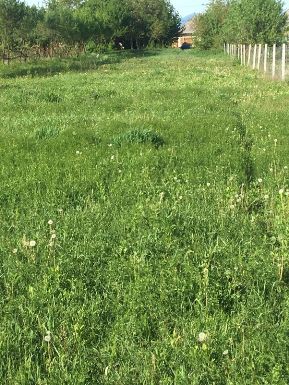 Investeste inteligent! Teren 23 ari Hideaga, Maramures!