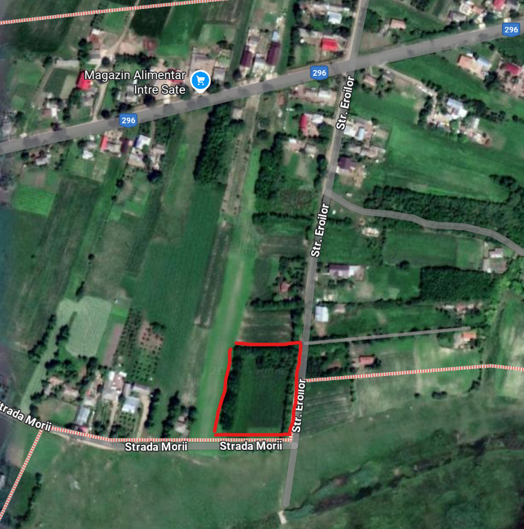 Teren intravilan deosebit - Roma, Botosani 4725mp