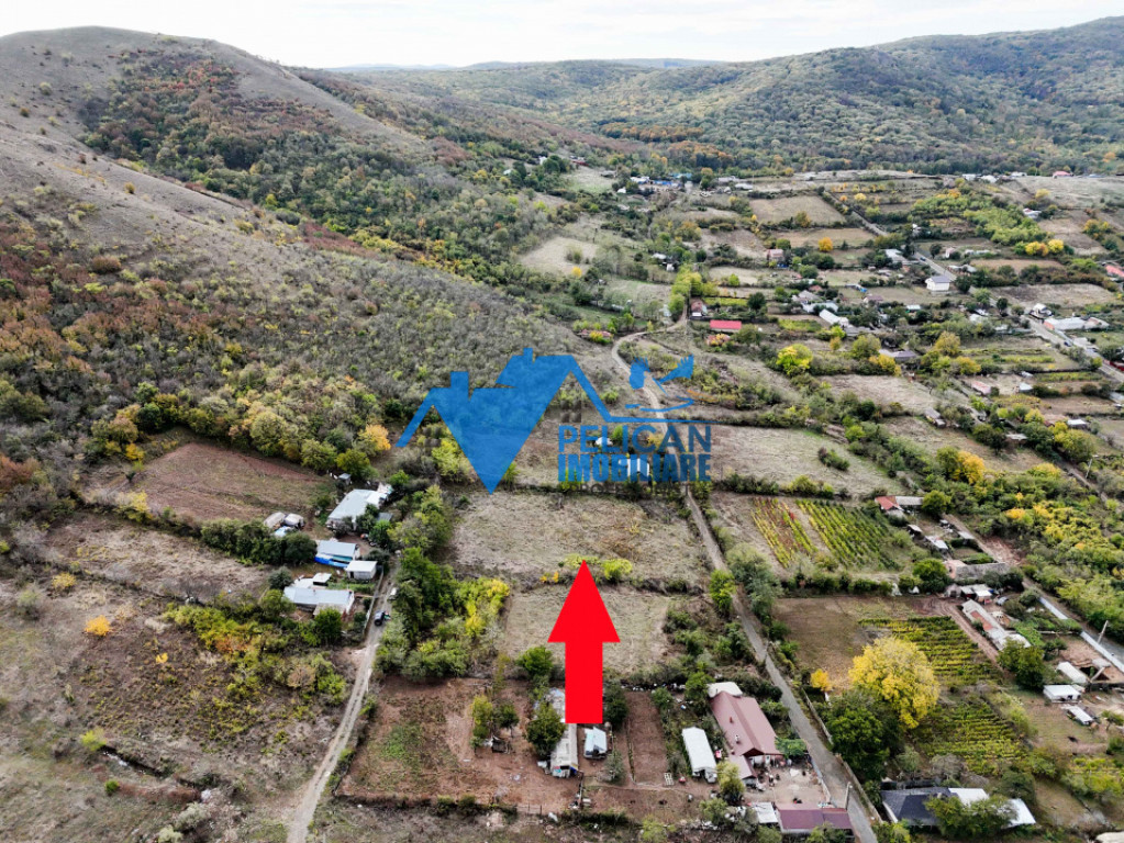 Teren intravilan NICULITEL, zona deosebita, 3044MP