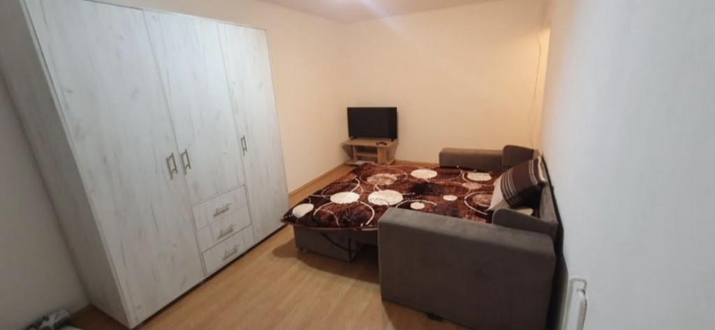 Apartament cu o cameră Calea Lipovei