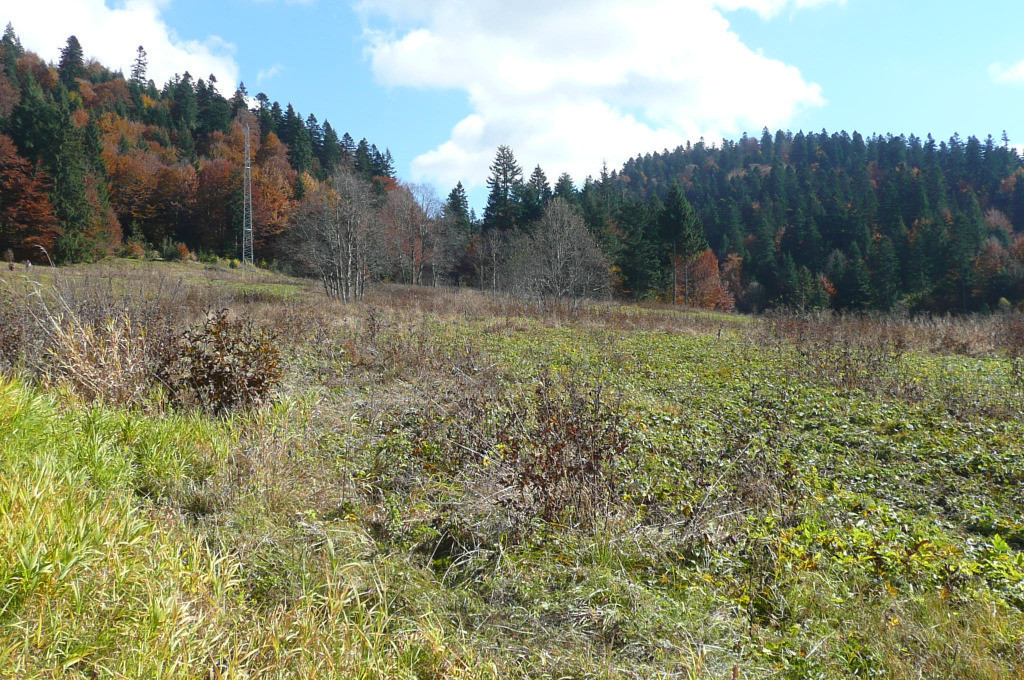 Predeal-Teren intravilan situat in Paraul Rece