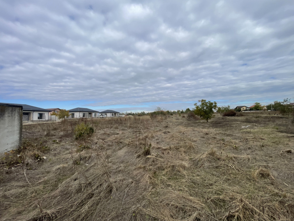 Vila individuala, Domnesti, Drumul Targului, P+1, suprafata