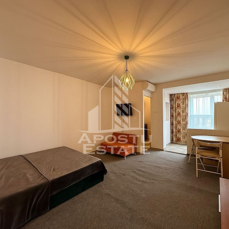 Apartament cu 1 camera, pet-friendly , zona Circumvalați...