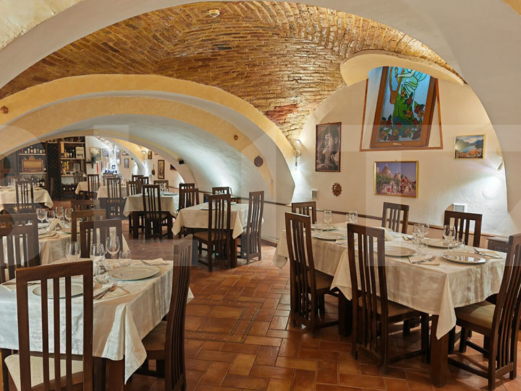 Spațiu comercial 350 mp Ultracentral