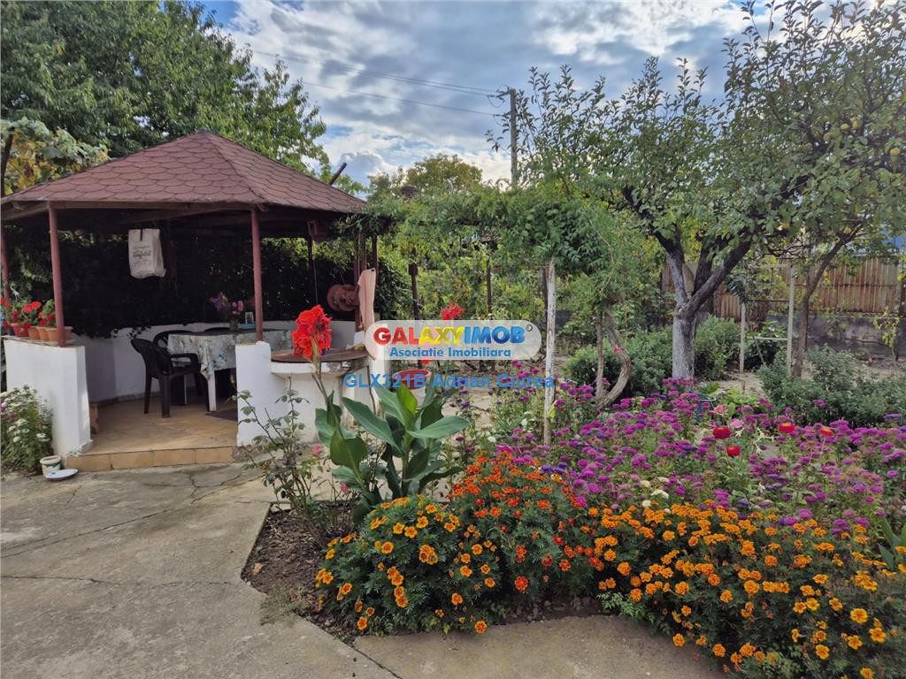 Potigrafu | Miroslavesti | Casa | 120 mp | Teren 1660 mp