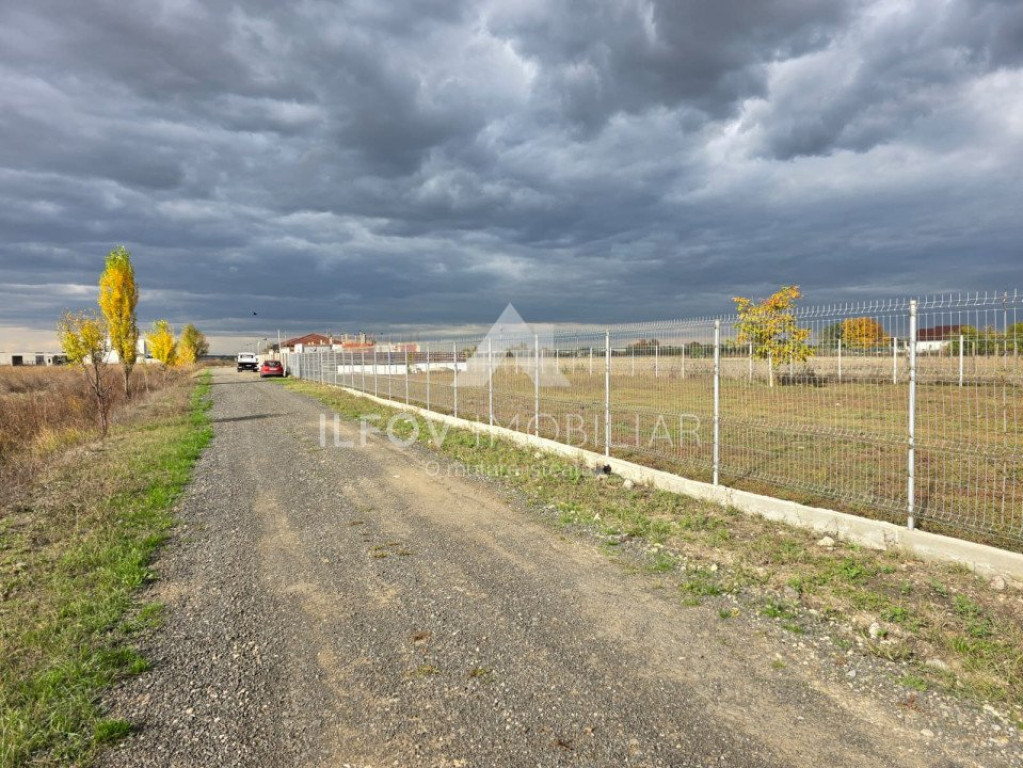 Teren intravilan Dimieni, 500mp, 29ml deschidere, pretabil c