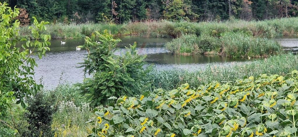 DE VANZARE Teren lac, 4500mp Moara Vlasiei