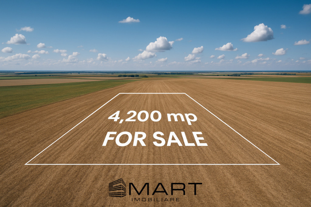 Teren extravilan 4200mp Daia Romana - Alba