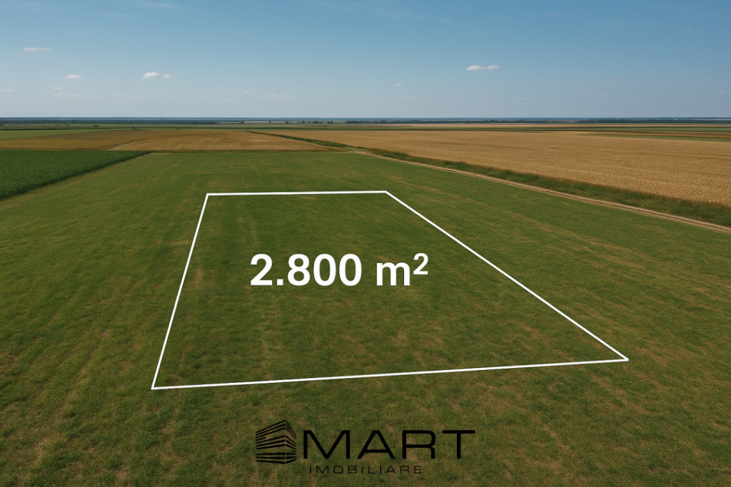 Teren extravilan 2800mp Daia Romana - Alba