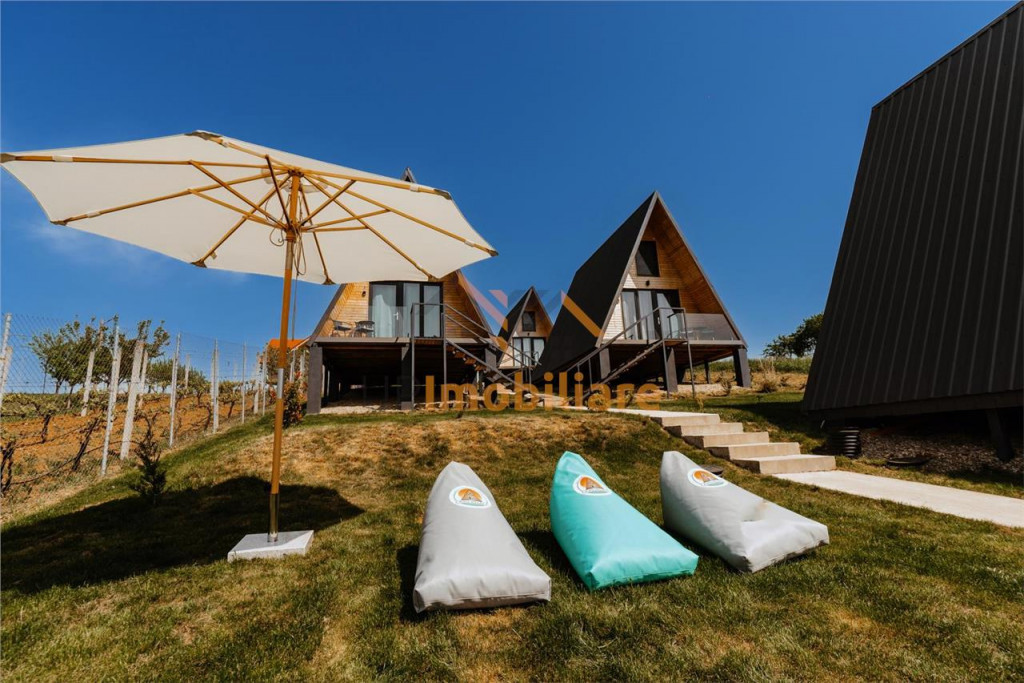 FILM! Locatie de Top,domeniu de 3.801 mp intravilan:Hotelier