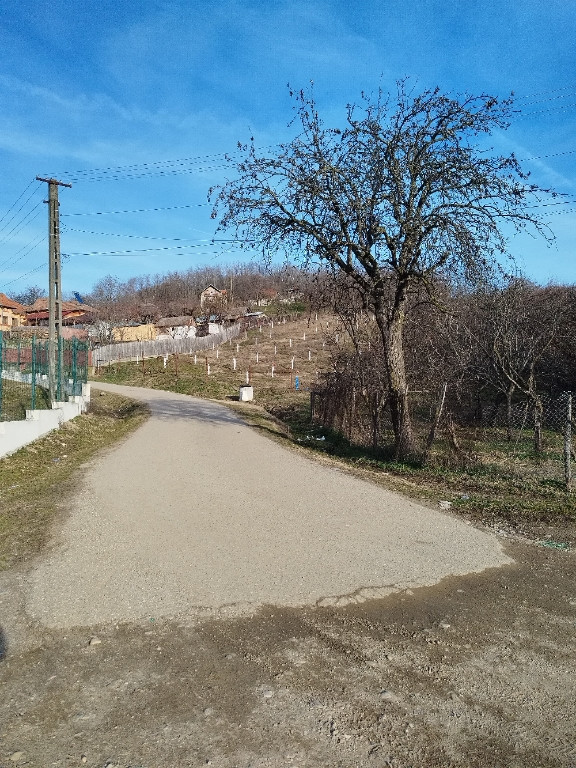 Teren de inchiriat pentru activitati apicole 1800mp