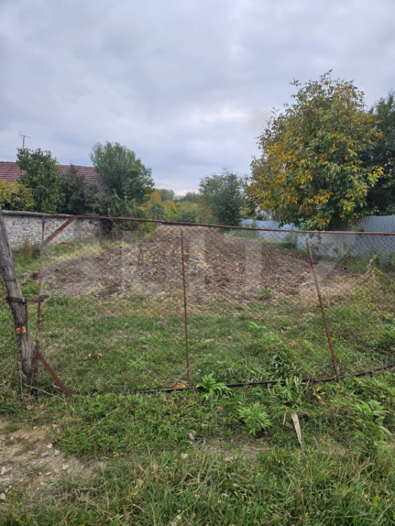 Teren intravilan, Stanesti,3000mp