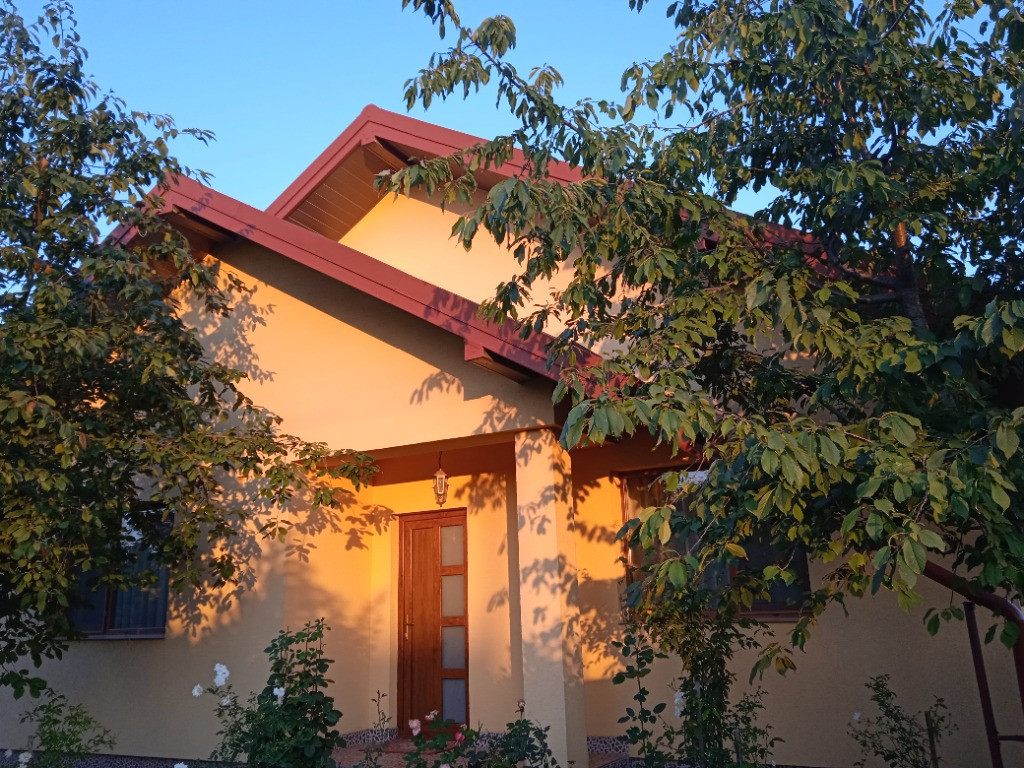 Casa Vaslui Moara Grecilor