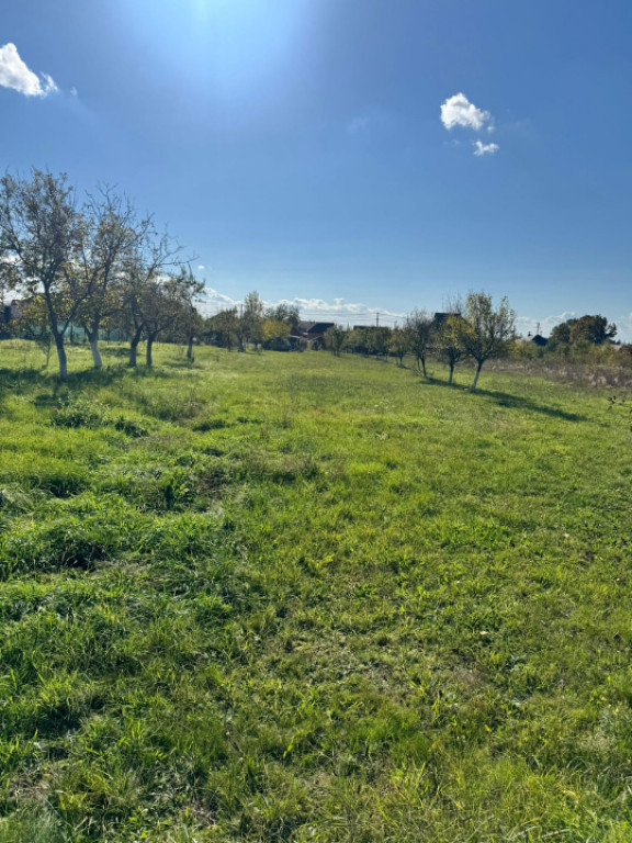 Teren intravilan – 14 ari, la intrare în Tăuții-Măgher