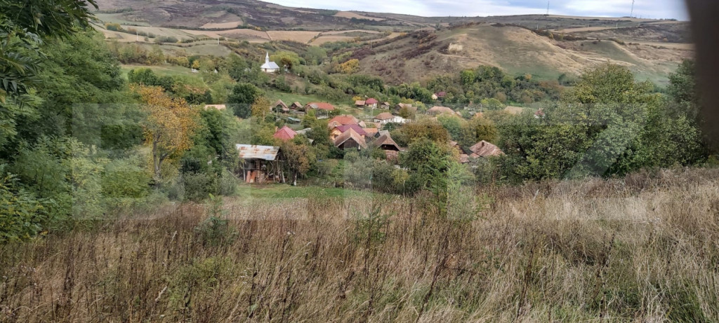 Casa de vanzare, 3 camere, 4663 mp teren, CF, Sat Barai