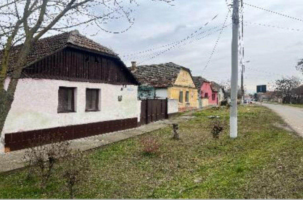 Cota de 1/2 din casa si teren, Loc Periam, Jud Timis