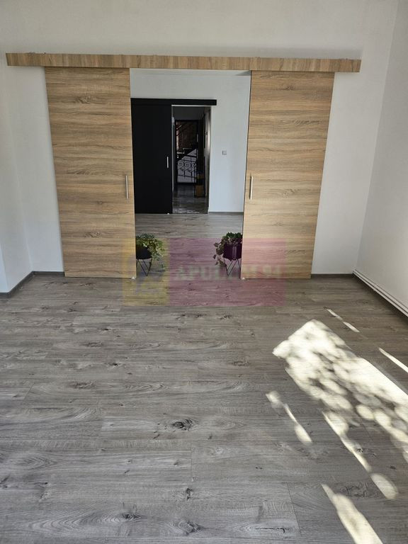 Apartament in Vila 2 Camere Dudesti