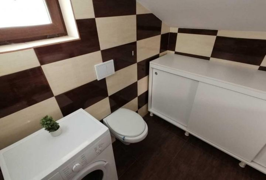 Aparatorii patriei studio dimitrie leonida