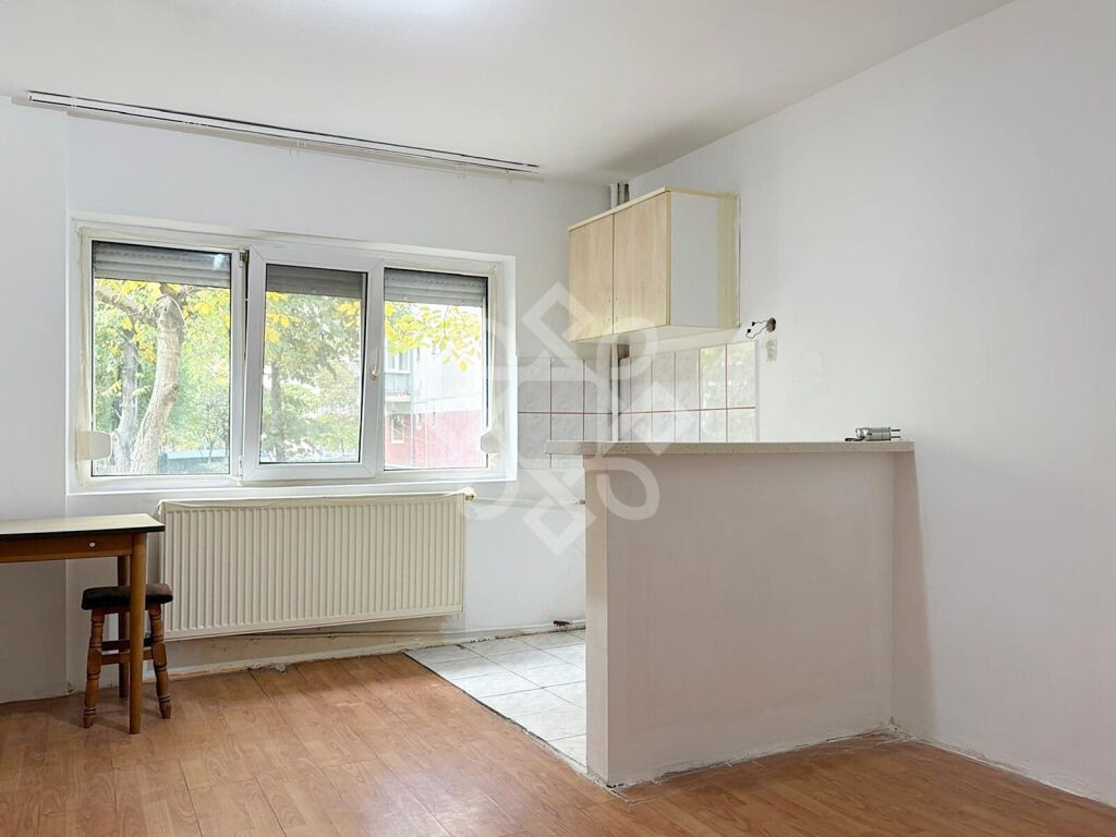 Garsoniera la parter in Rogerius