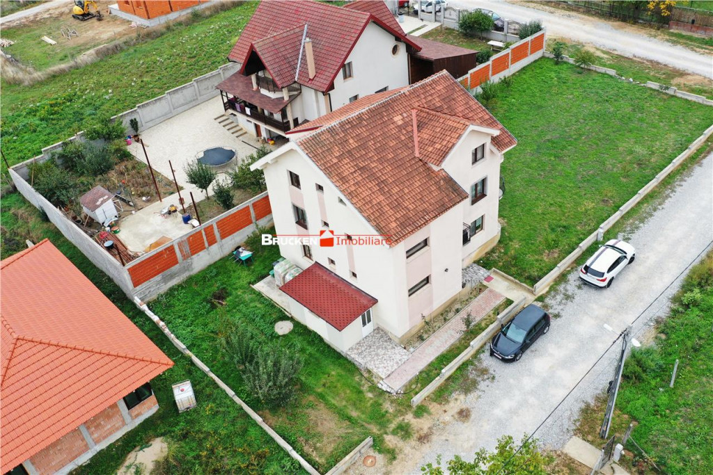 Sanmartin - Vila cu 3 apartamente si potential de