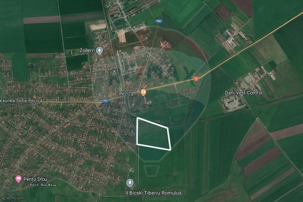 Teren 29220 mp Pecica,DN7, langa autostrada- Ideal pentru...