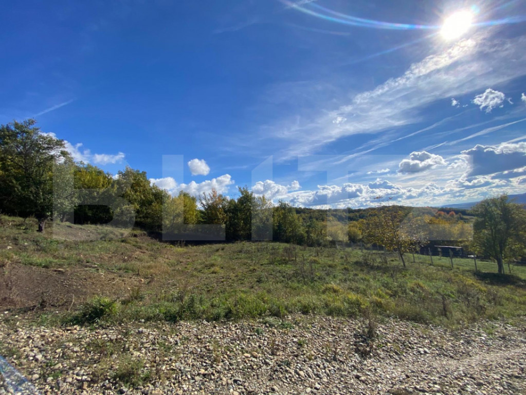 Teren 10 ari, Valea Budacului – priveliște superbă, zon?
