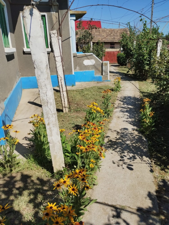 Casă în satul Zebil cu vedere superbă spre lacul Babadag