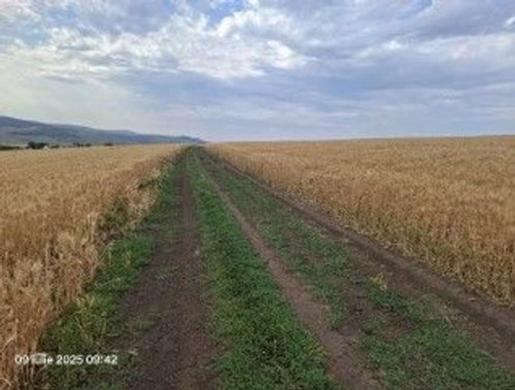 Teren Extravilan Pribesti, ID: R2774827