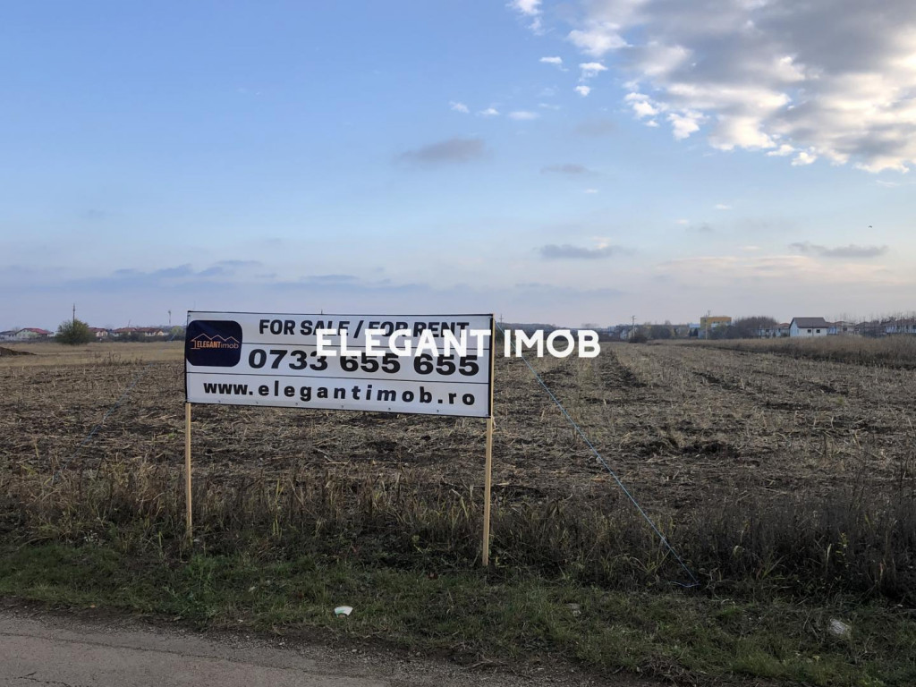 Teren Corbeanca - Ostratu