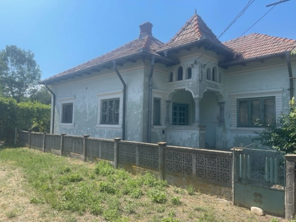 Teren plus casa in Hintesti 6060mp