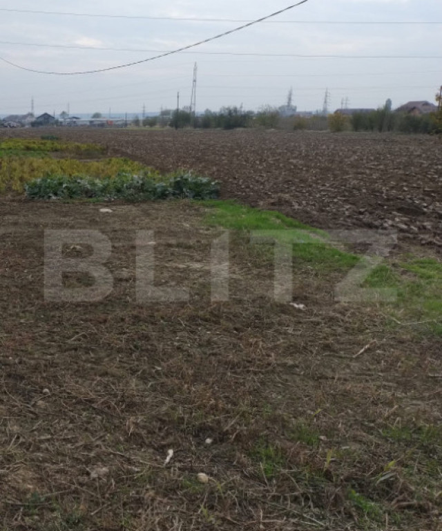 Teren extravilan, Isalnita, 13m deschidere, 3000mp