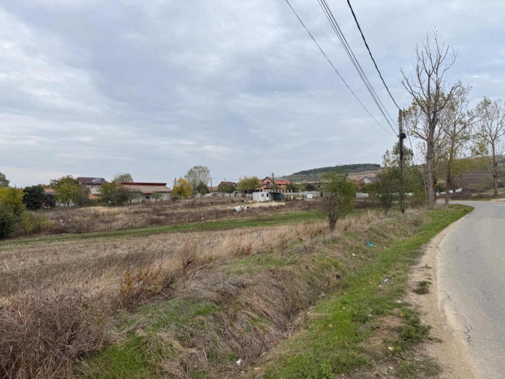 Teren extravilan 8665 mp, Fratostita, Filiasi, COMISION ZERO