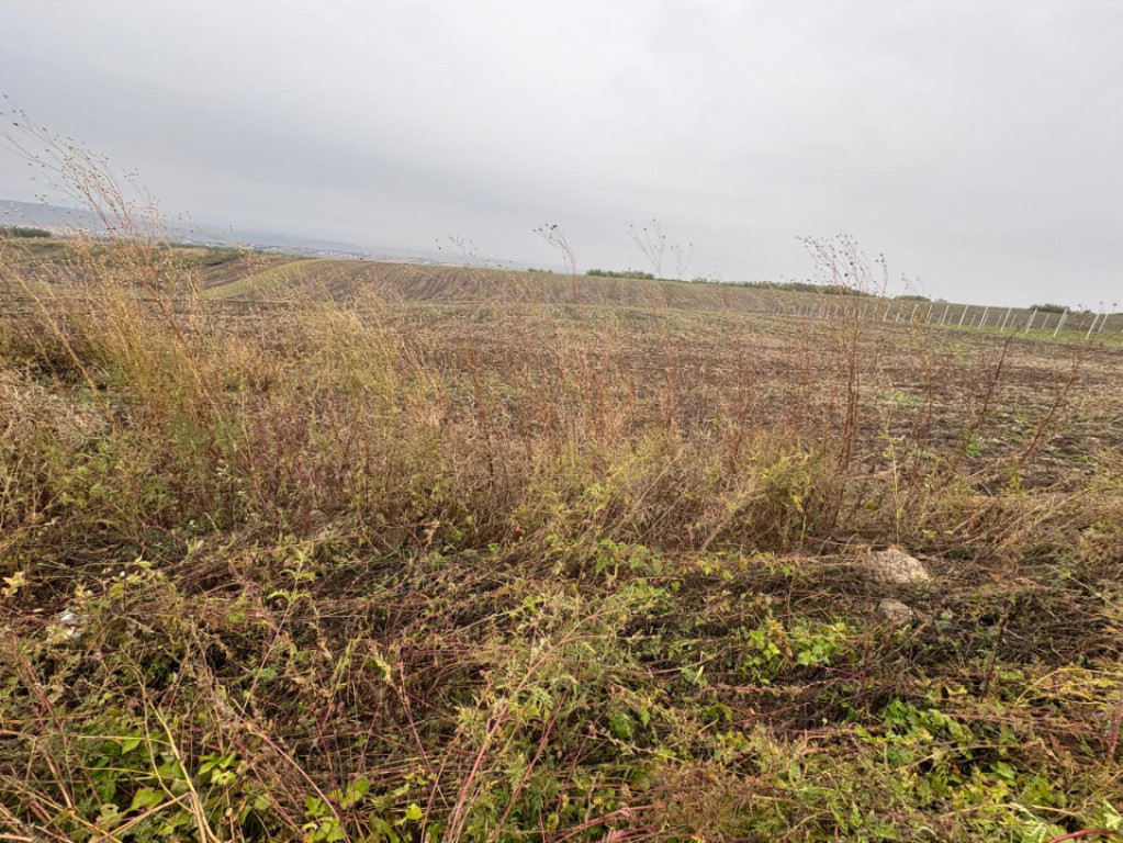 35euro/mp! Valea Lupului! Teren intravilan,28m l,oportunitat