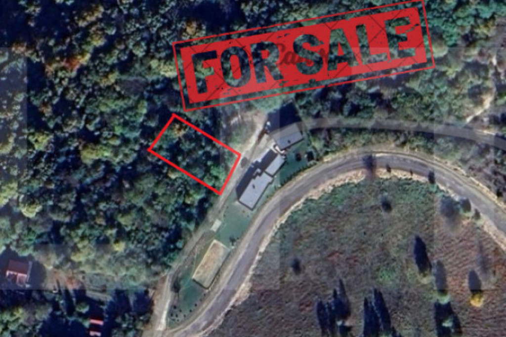 Teren de investitie 1256 mp