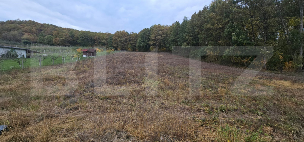 Teren intravilan parcelat - 2882 mp - Sat Bejan