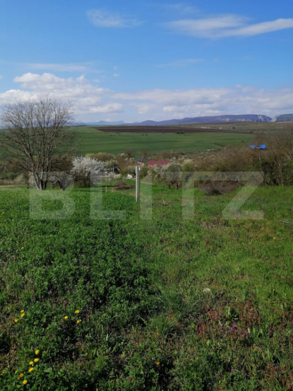 Teren intravilan, 1500 mp in Turda