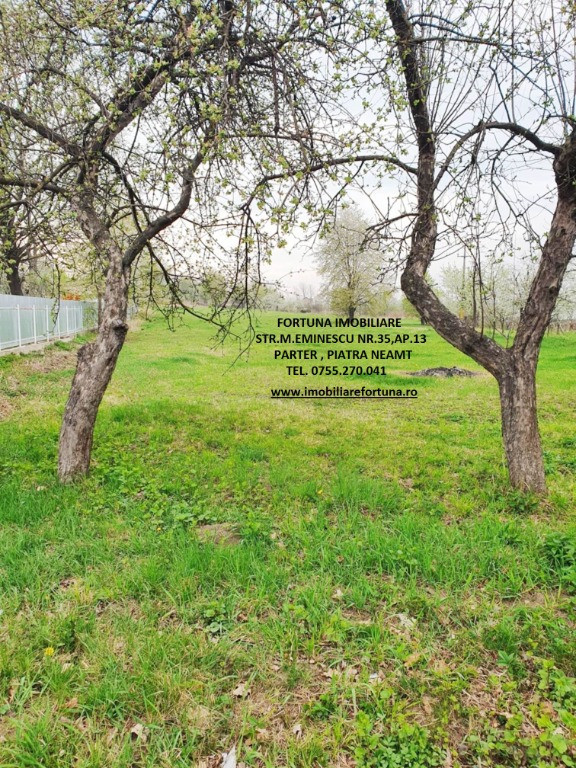 Teren intravilan Rediu, la 30 minute de oras, 4585 mp