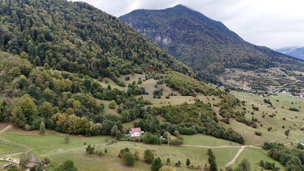 Comision 0% | Teren Intravilan | 4 x Parcele de 592 mp | ...