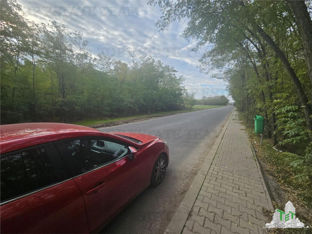 Teren 7500mp in liziera padurii in Dragomiresti-Deal