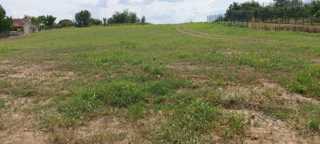 Teren intravilan, vedere la Dunăre, 1000mp