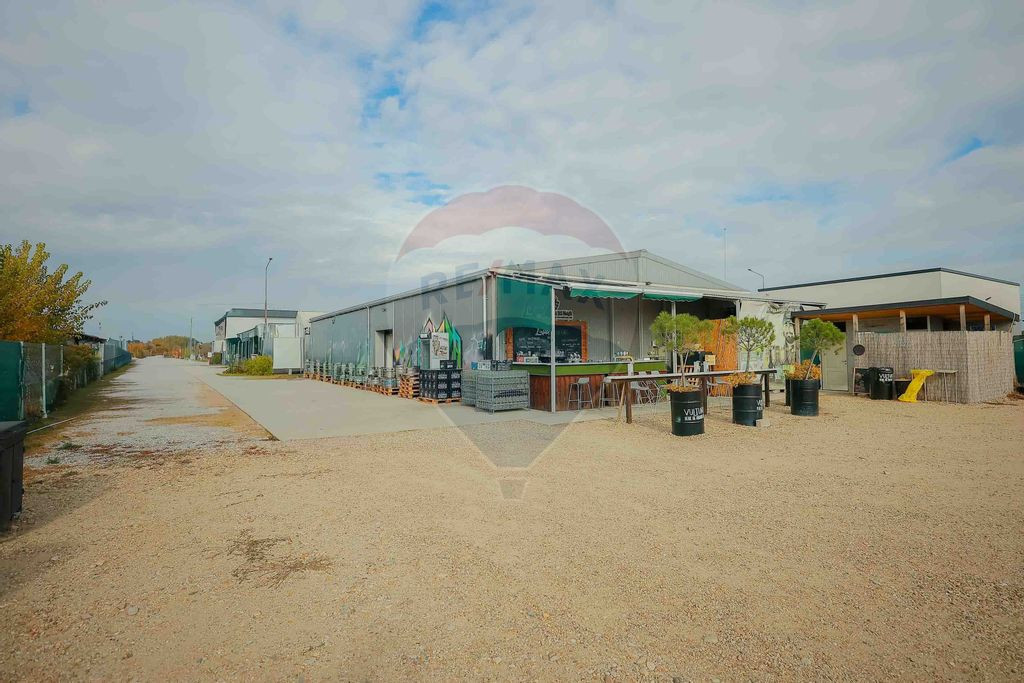 Hală industrială, Parcul Industrial Borș II, De Vânzare