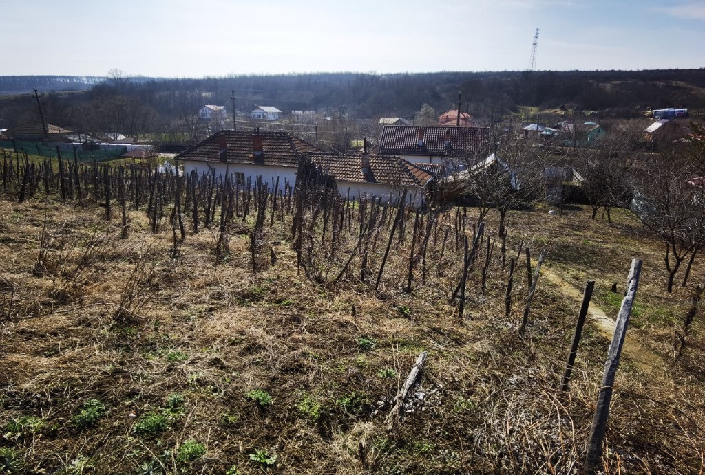 Schimb, V. - Casa cu teren (1511mp), Leamna de sus